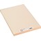 Pacon Tagboard, 12 x 18, Manila, 100/Pack (5184)