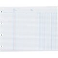Wilson Jones® Balance Ledger Sheets with Form Ruling D, White, 9-1/4x11-7/8