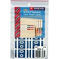 Smead AlphaZ ACCS Color-Coded Alphabetic Labels, O, Dark Blue, 100/Pack (67185)