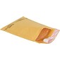 6" x 10" Bubble Cushioned Mailers in Bulk, #0, 250/Case