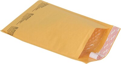 7-1/8 x 11 Bubble Cushioned Mailer, #1, 100/Carton (ENVB854SS)