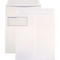 Ampad® SafeSeal QuickStrip Catalog Envelopes, 10 x 13, 100/Box
