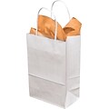 Mini Cub Shopper 8.25 x 5.25 x 3.5 Kraft Paper Shopping Bags, White, 250/Carton (WHITE539)