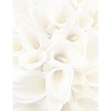 Great Papers® White Calla Lilies Letterhead 80 count