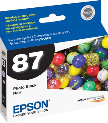 Epson T87 Ultrachrome Photo Black Standard Yield Ink Cartridge