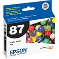 Epson T87 Ultrachrome Photo Black Standard Yield Ink Cartridge