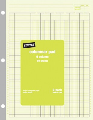 Staples® Columnar Books, 100 Pages, Green, 2/Pack (217869)