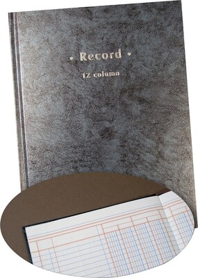 Quill Brand® Columnar Book, 12-Columns, 80 Pages, Blue Marble (18852/26519)