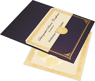 Geographics® 8 1/2 x 11 Foil Embossed Award Certificate Kit, Blue Metallic