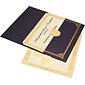 Geographics® 8 1/2" x 11" Foil Embossed Award Certificate Kit, Blue Metallic