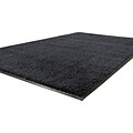 Guardian Platinum Nylon/Polypropylene Walk-Off Indoor Wiper Mat, 60L x 36W, Black