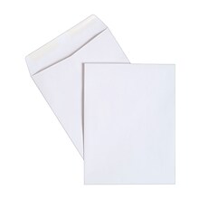 Staples® 10 x 13 White Wove Catalog Envelopes; 250/Box (486954/17040)