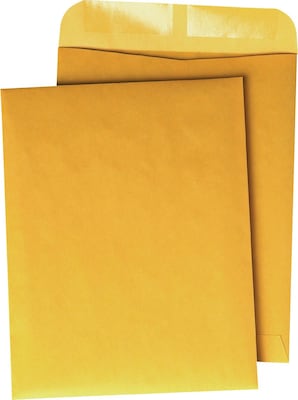 Quality Park Gummed Catalog Envelope, 12 x 15 1/2, Light Kraft, 100/Box (41967)