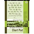 Pacon S.A.V.E Recycled Unruled Chart Pad, 24 x 32, 70 Sheets/Pad