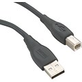 Silver Series 6 USB A Male/B Male, Black (18801)