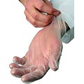 Ambitex® V5101 Series Latex-Free Vinyl MP Gloves, Powdered, Clear, Med, 100/Bx, 10 Bxs/CT (VMD5101)