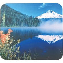 Gel Mouse Pad, Assorted (12384)