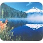 Gel Mouse Pad, Assorted (12384)