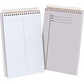 Ampad® Steno Book, Clear, 6 x 9