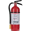 ProLine™ Multi-Purpose Dry Chemical Fire Extinguishers, Aluminum, 195 psi