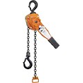 CM® Series 653 Lever Chain Hoist, 3/4 Ton Capacity, 10 Lift