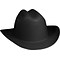 Jackson Safety HDPE 4-Point Ratchet Suspension Full Brim Hard Hat, Black (138-17330)