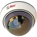 Q-SEE™ Network Camera; Decoy Dome Dummy