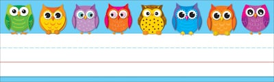 Carson-Dellosa Colorful Owls Nameplates