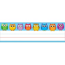 Carson-Dellosa Colorful Owls Nameplates