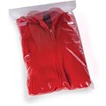 13W x 18L Reclosable Poly Bag, 2.0 Mil, 1000/Carton (3678A)