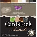 Darice Core Essentials Cardstock Pack, 12 x 12, Neutrals
