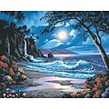 Dimensions Paint By Number Kit, 20 x 16, Moonlit Paradise