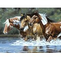 Reeves®  Paint By Number Artists Collection, 12 x 16, Heading Upstream
