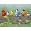 Reeves®  Paint By Number Artists Collection, 12 x 16, Rail Birds