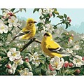 Plaid:Craft Paint By Number Kit, 16 x 20, Goldfinches