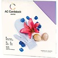 American Crafts® Cardstock Pack, 12 x 12, Winter
