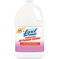Professional Lysol® Antibacterial All Purpose Cleaner, 1 Gallon, 4/Carton (74392)