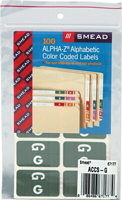 Smead® Alpha-Z Color-Coded Second Letter G Labels, 10 Labels Per Sheet, Gray, 1H x 1 5/8W, 100 L