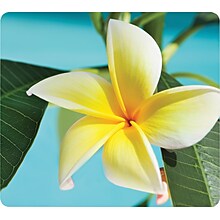 Fellowes Recycled Mouse Pad, Yellow Flowers (FEL5913801)