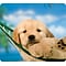 Fellowes Recycled Mouse Pad, Puppy in Hammock (FEL5913901)