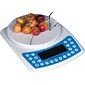 Brecknell® DS-1 Dietary / Kitchen Scale, Up to 5000g. Capacity