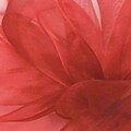 Berwick/Offray Red Simply Sheer Asiana (Mono-edge) Ribbon 7/8 x 100