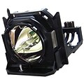 Panasonic ETLAD10000F Replacement Lamp for PT-D10000/DW10000 Series, 250 W