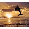 Fellowes® Recycled Optical Mouse Pad; Dolphin