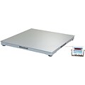 Brecknell® Large Floor Scale System, Up to 5000 lb. Capacity (DSB4848-05)