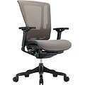 Raynor nefil Elite Smart Motion Managers Chair, Mesh, 3D Gray, Seat: 19 1/2W x 16 - 17 1/4D, Back: 20 5/8W x 21 5/8H