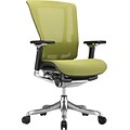 Raynor nefil Pro Smart Motion Mesh Managers Chair, 3D Green