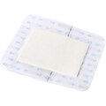 Suresite® 123+ Pad Transparent Dressings, 10 L x 3 1/2 W, 100/Pack