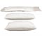 Ovation® Series Pillows, White, 24L x 18W, 16 oz, 2/Pack