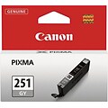 Canon 251 Gray Standard Yield Ink Cartridge  (6517B001)